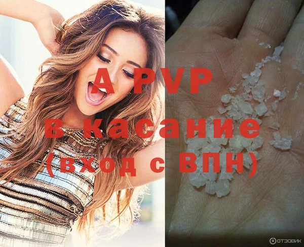 спайс Алзамай
