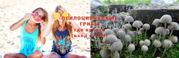 стафф Алексеевка